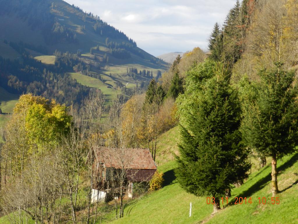 Bed and Breakfast Waldruhe Jaun Exterior foto